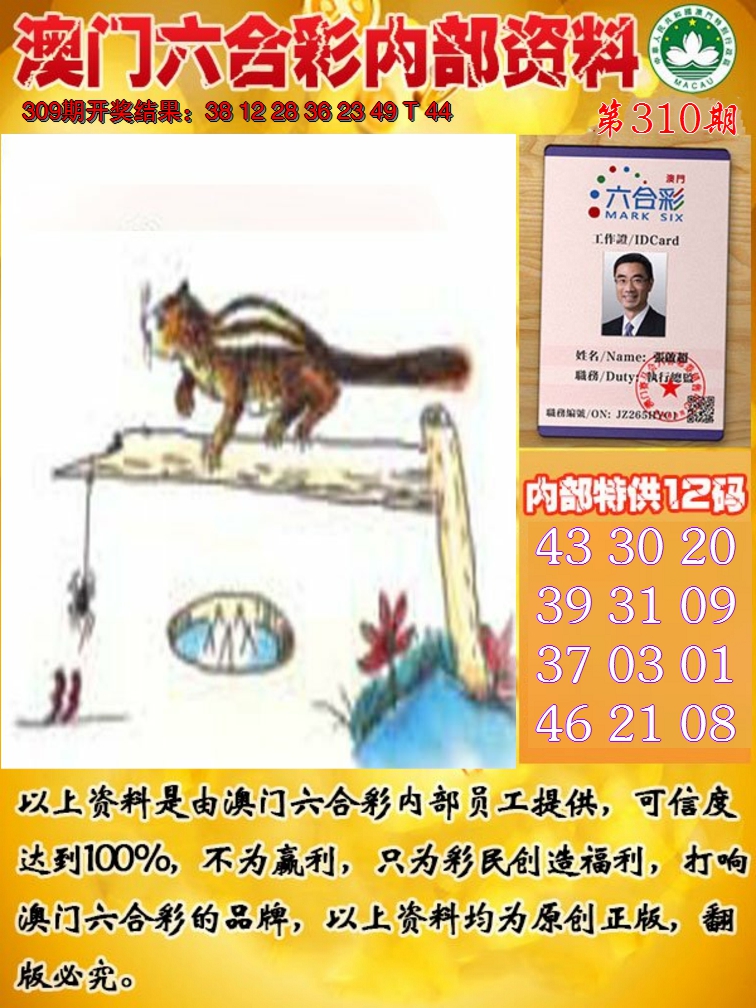 2024310期六合内部资料