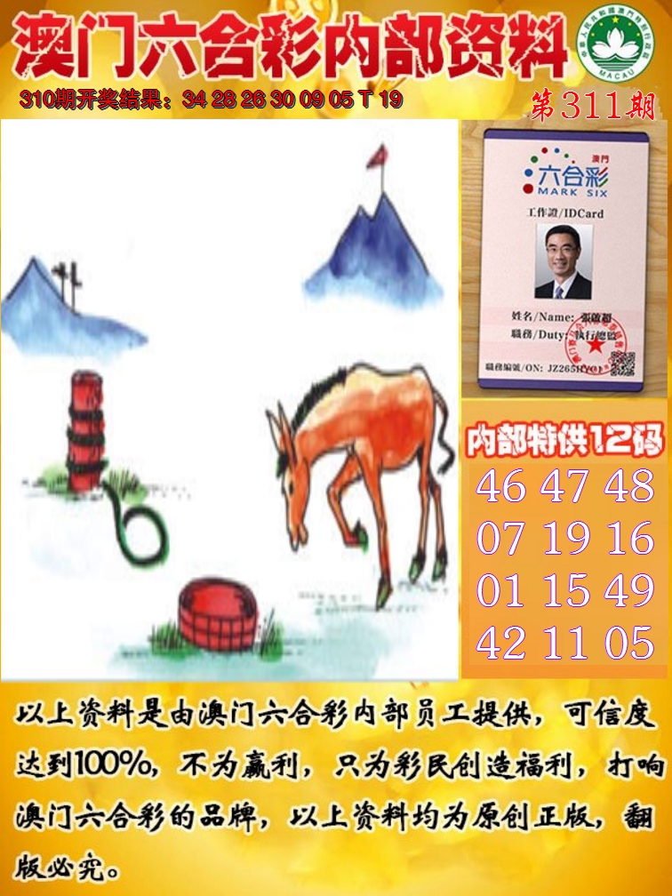 2024311期六合内部资料