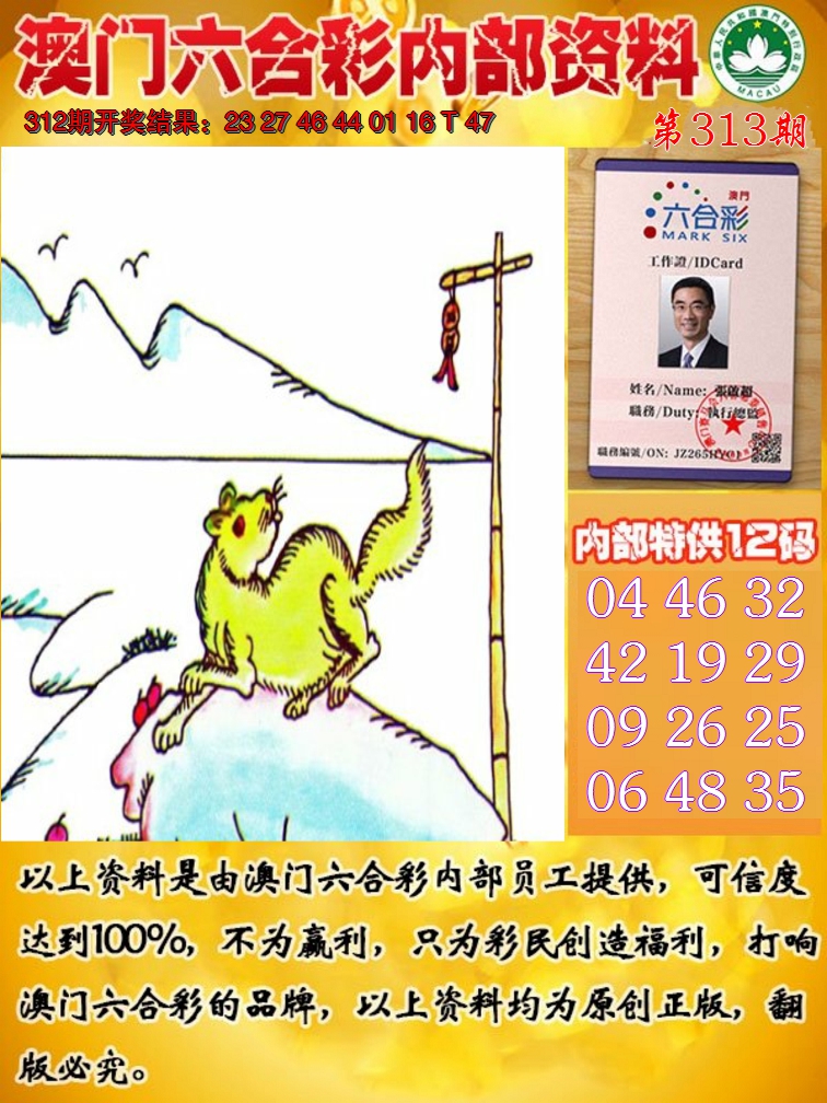 2024313期六合内部资料