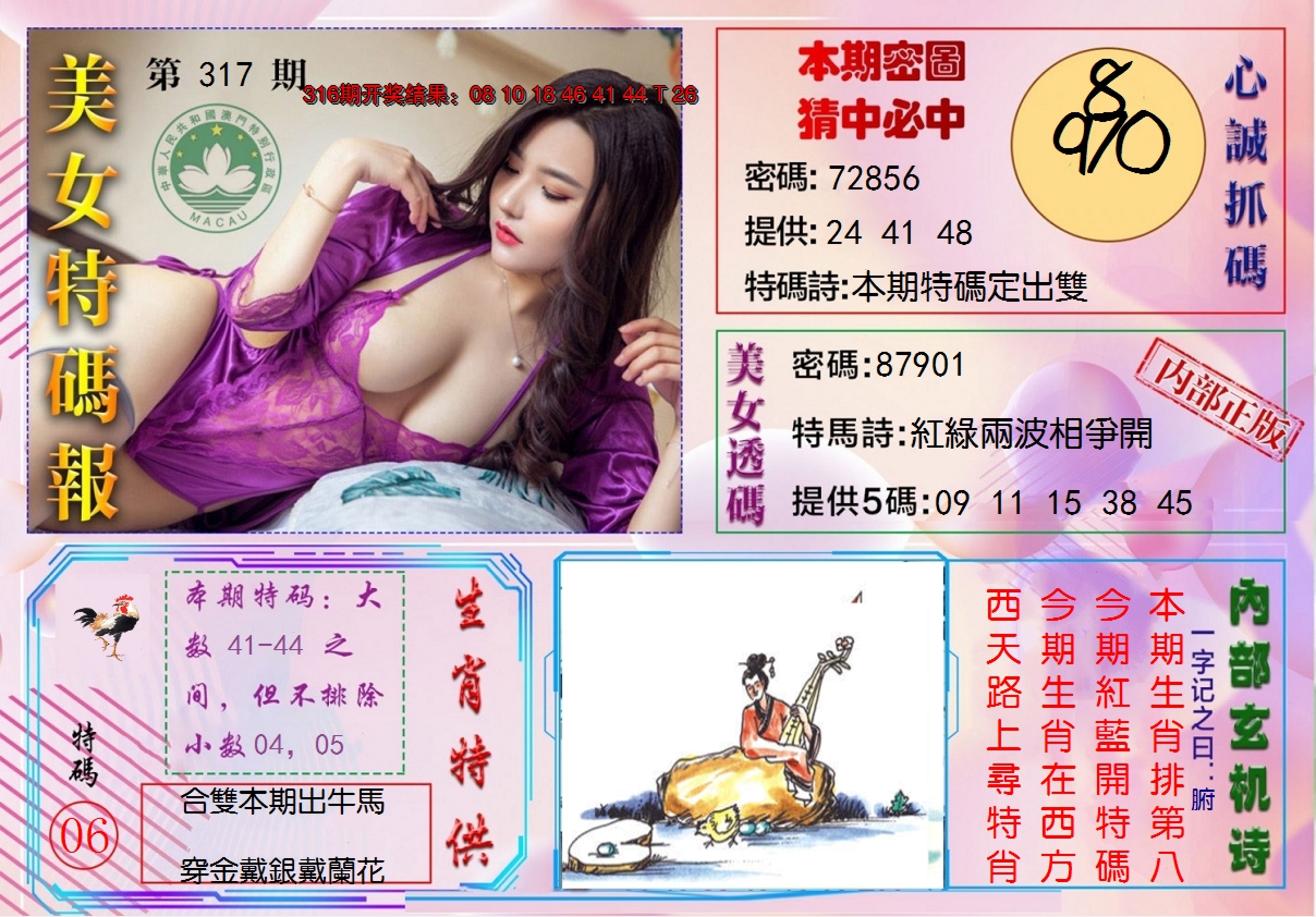 2024317期美女特码报