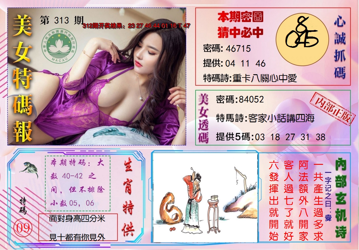 2024313期美女特码报
