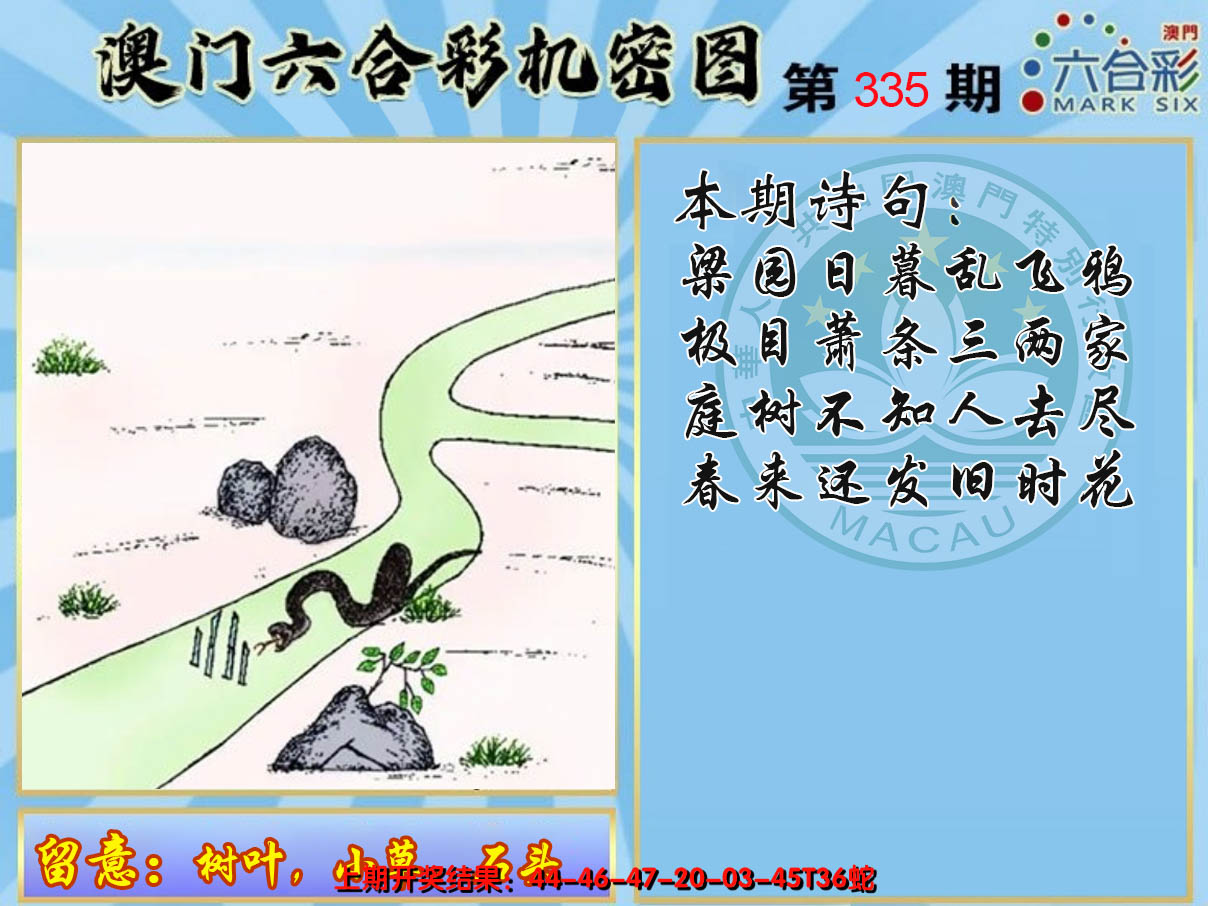 2024335期机密图