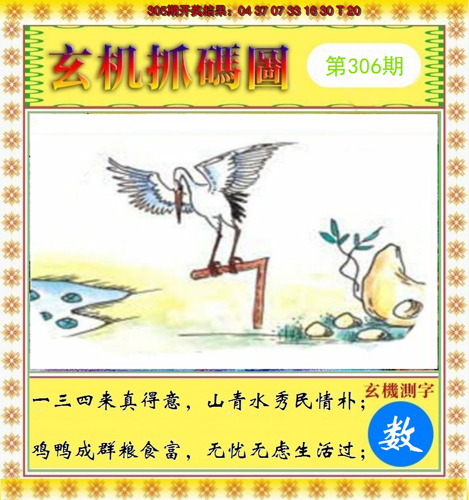 2024306期玄机抓码图