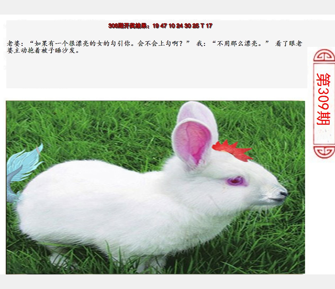 2024309期澳门生活幽默