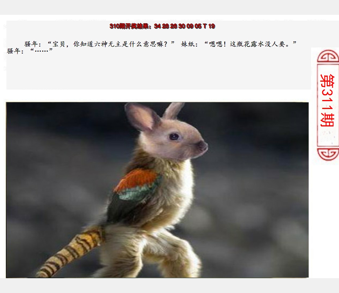 2024311期澳门生活幽默