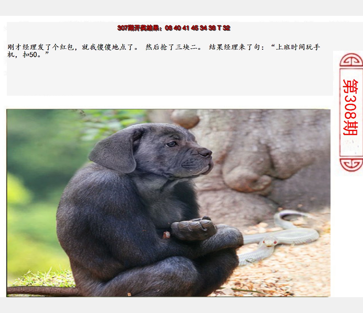 2024308期澳门生活幽默