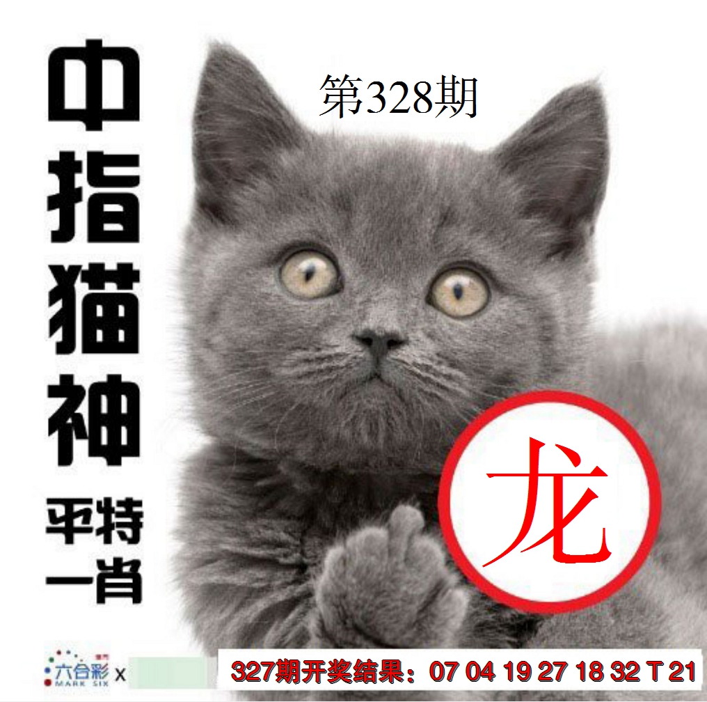 2024328期中指猫神