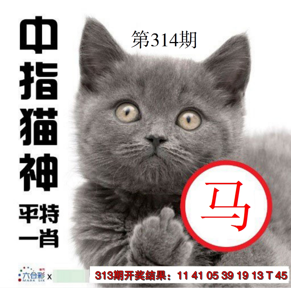 2024314期中指猫神