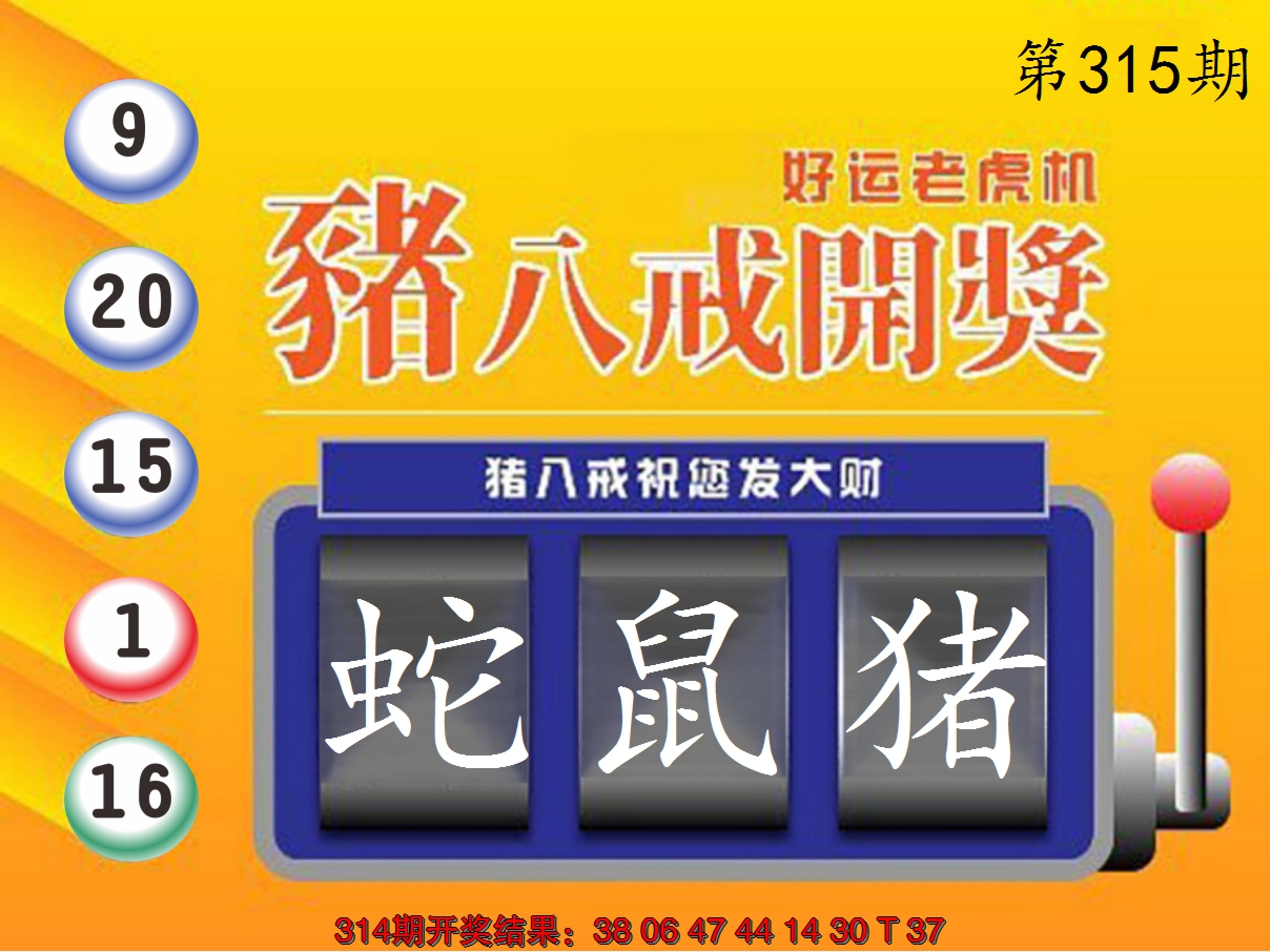 2024315期猪八戒开奖A