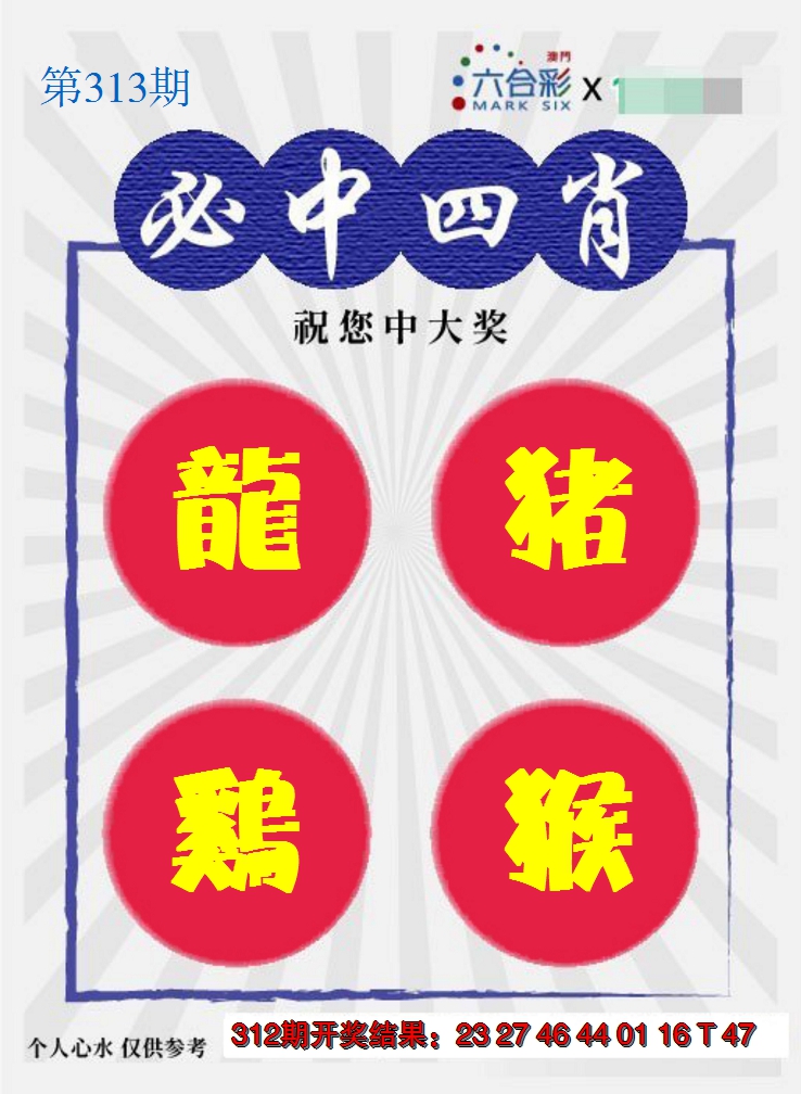 2024313期必中四肖S