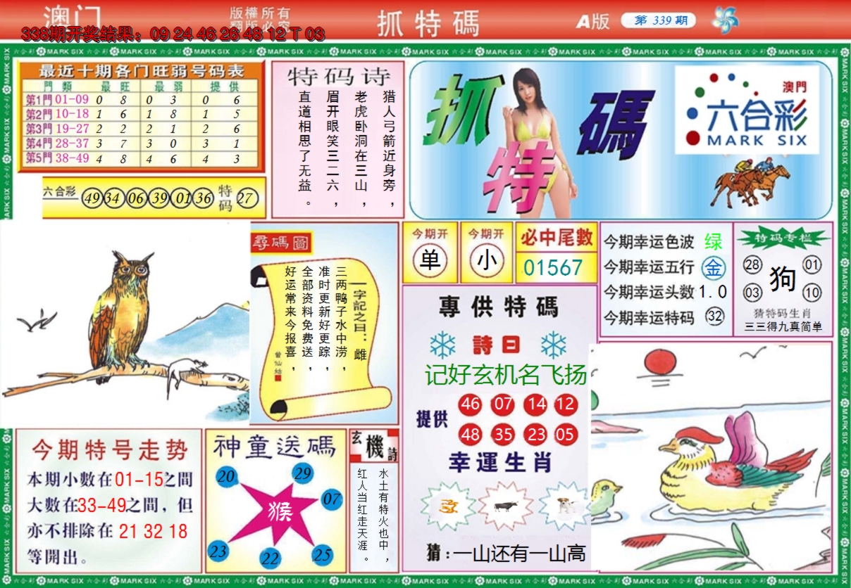 2024339期澳门抓特码A