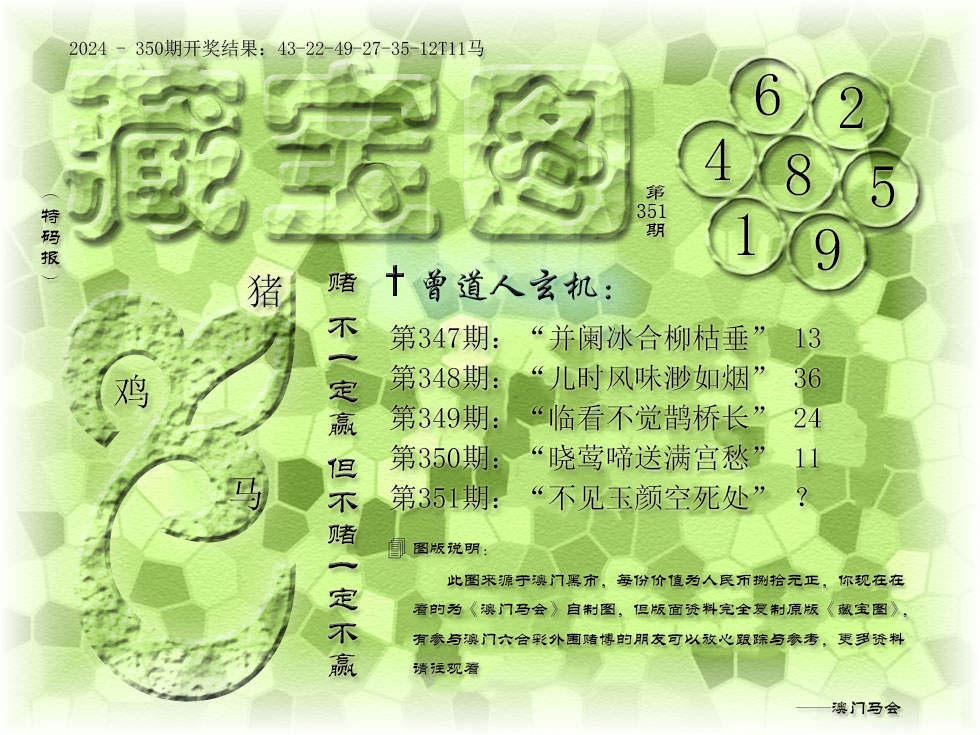 2024351期《藏宝图》