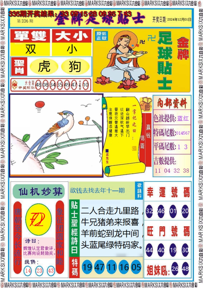 2024336期金牌足球贴士