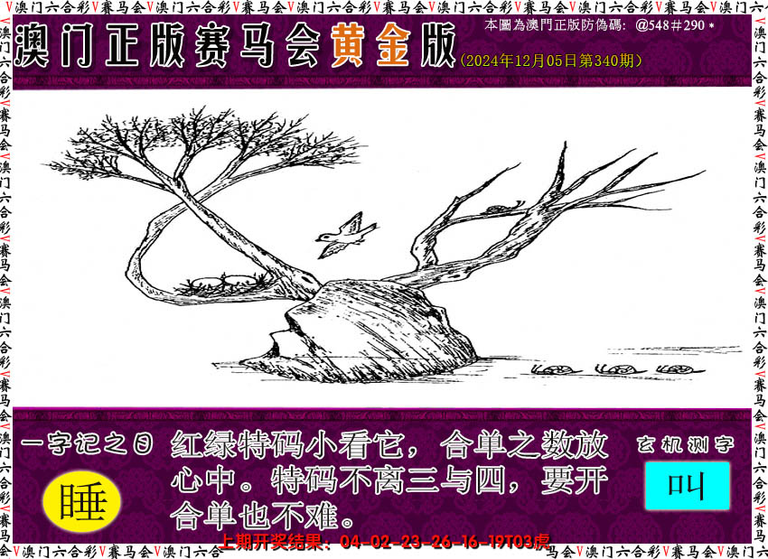 2024340期赛马会黄金版