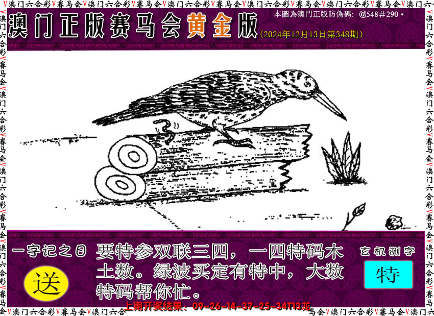 2024348期赛马会黄金版