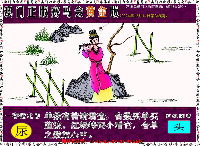 2024349期赛马会黄金版