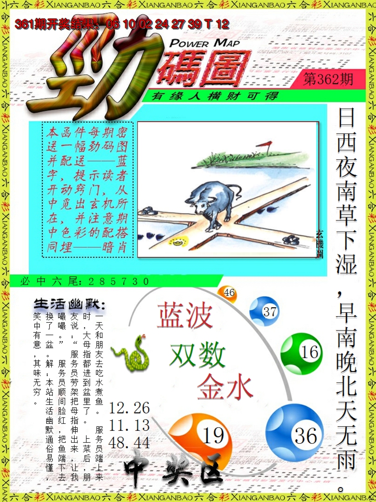 2024362期劲码图