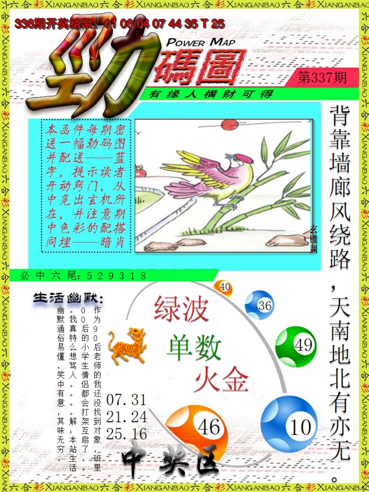 2024337期劲码图