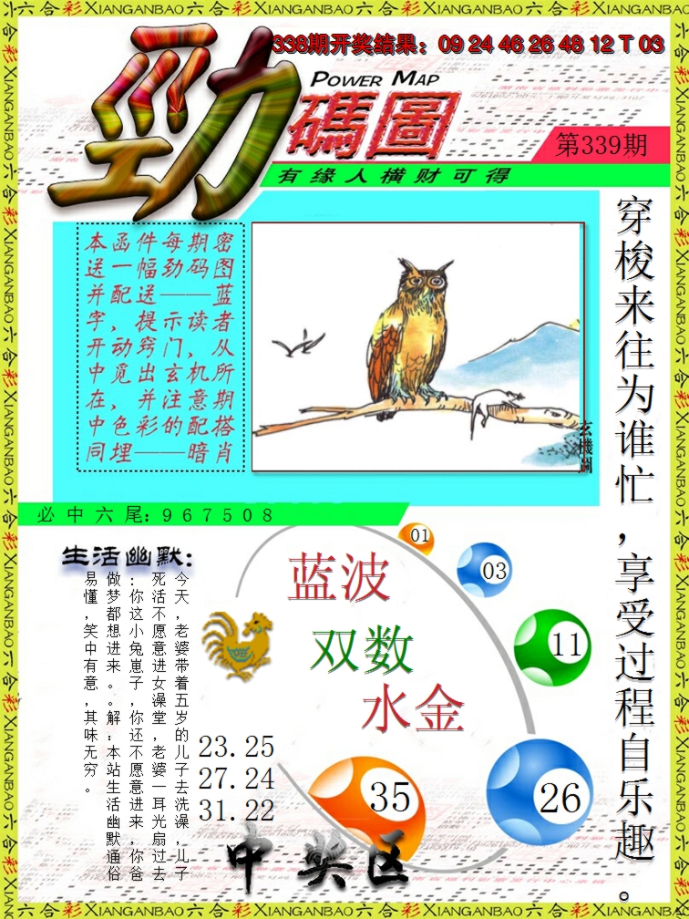 2024339期劲码图