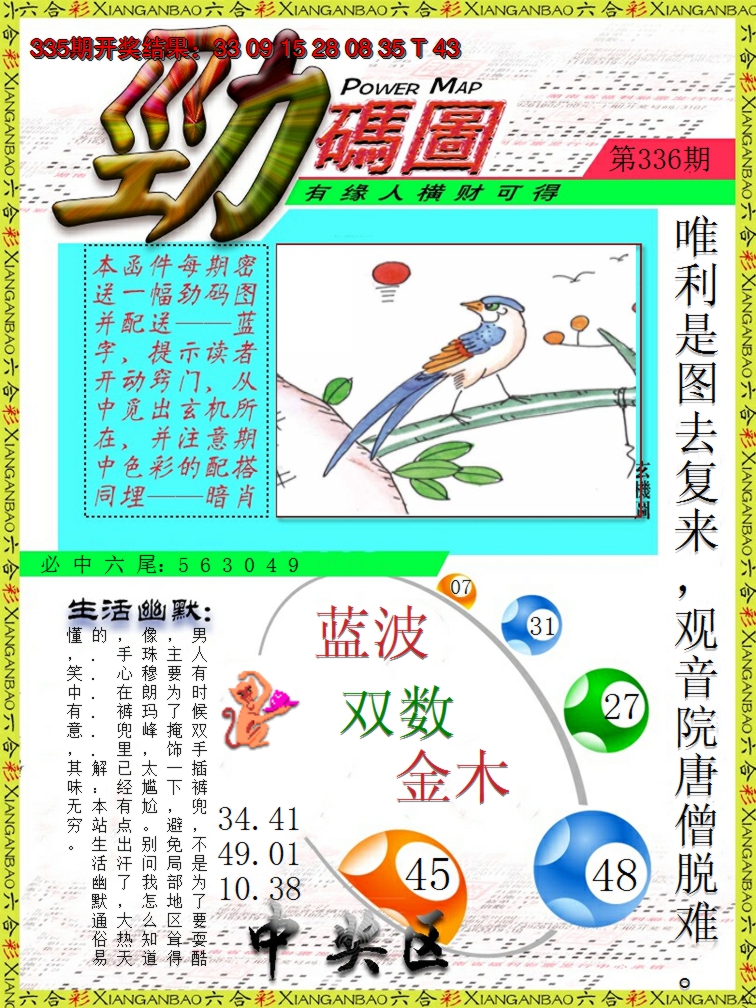 2024336期劲码图