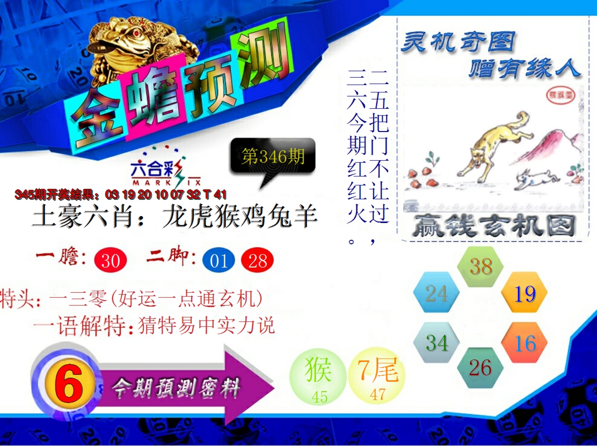 2024346期金蟾预测
