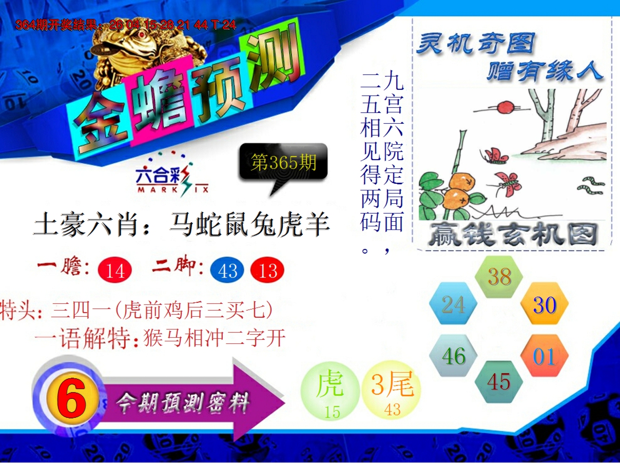 2024365期金蟾预测