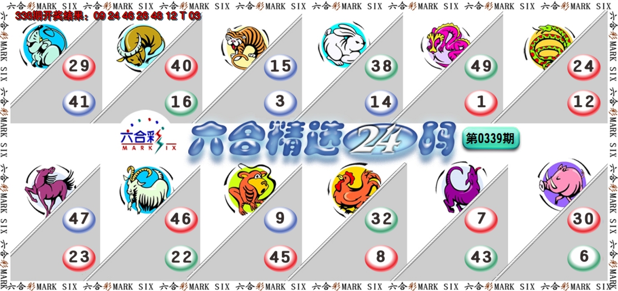 2024339期六合精选24码