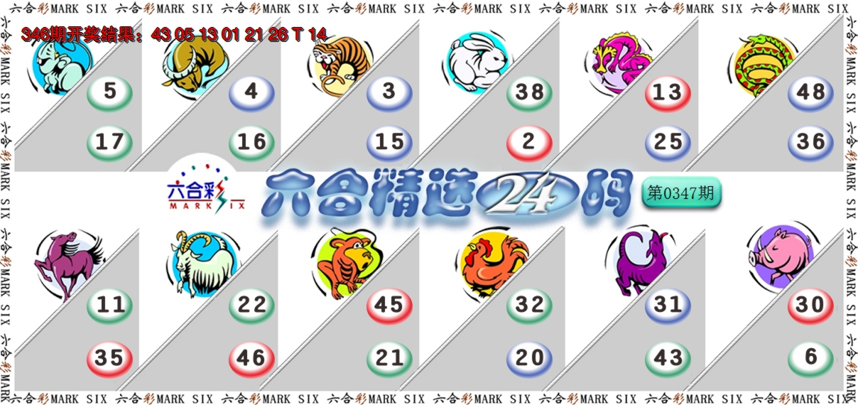 2024347期六合精选24码