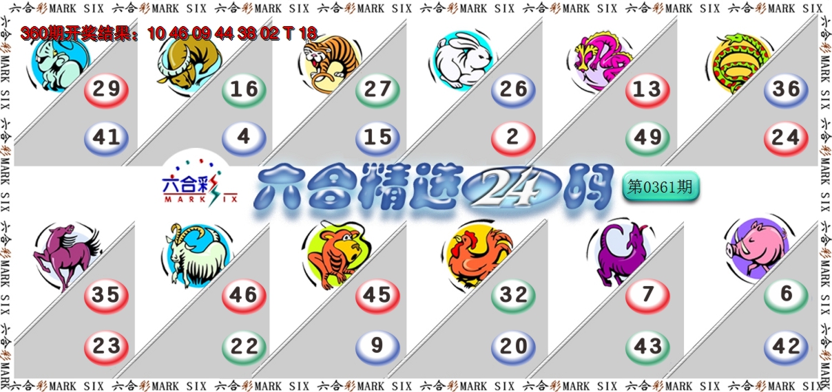 2024361期六合精选24码