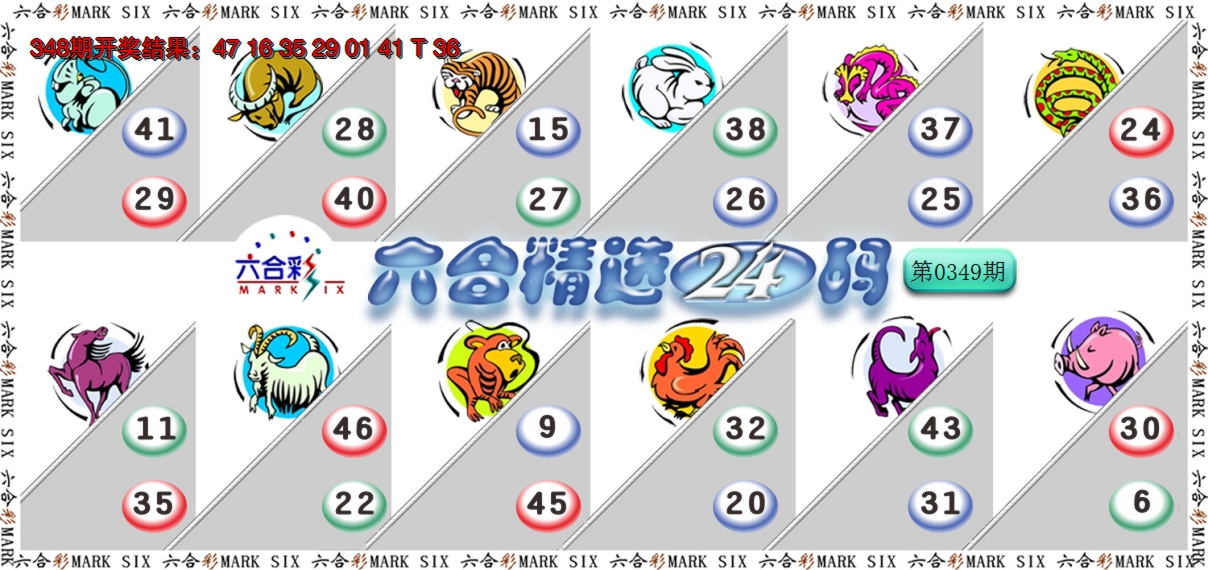 2024349期六合精选24码