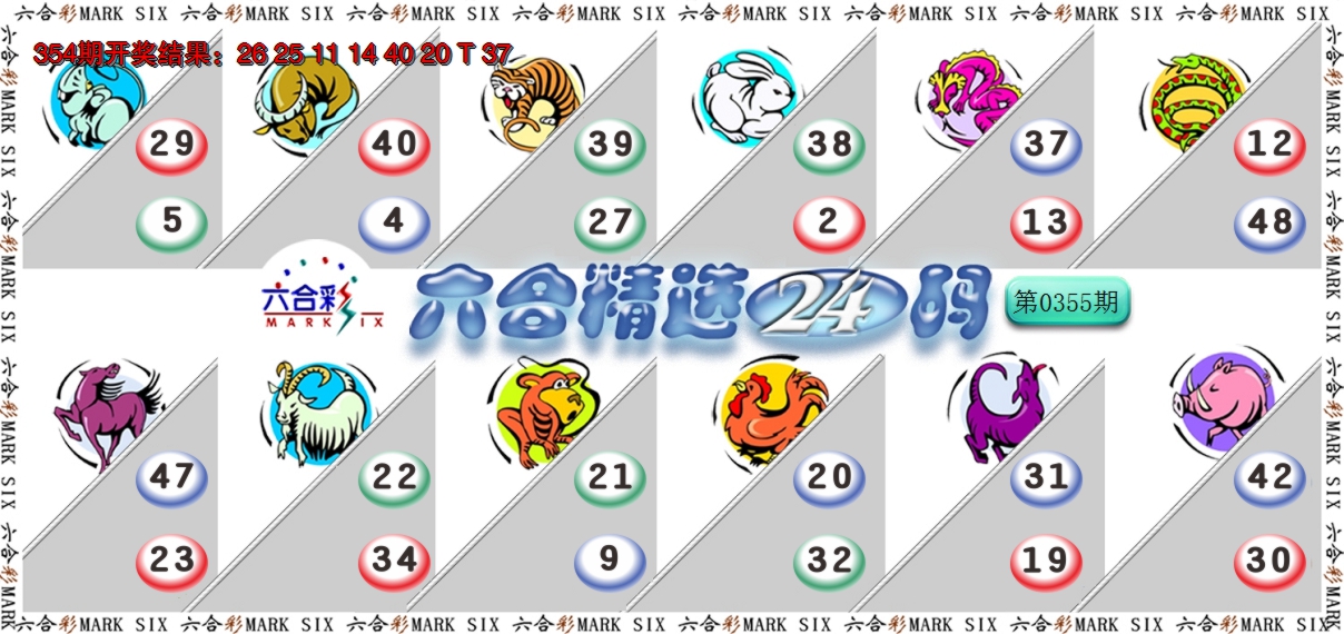 2024355期六合精选24码