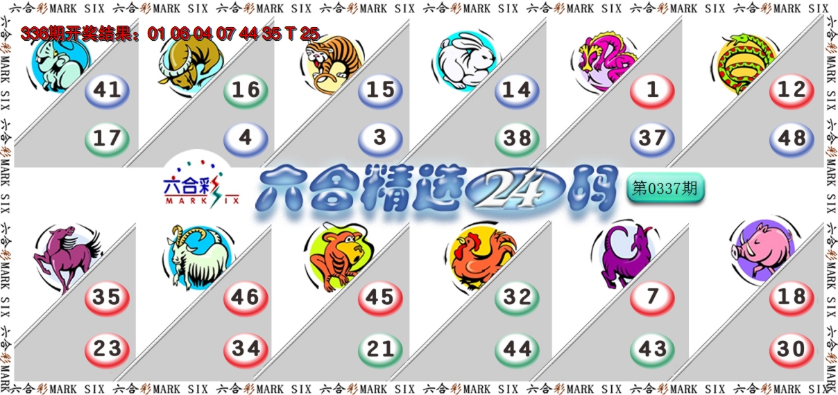 2024337期六合精选24码