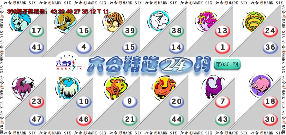 2024351期六合精选24码