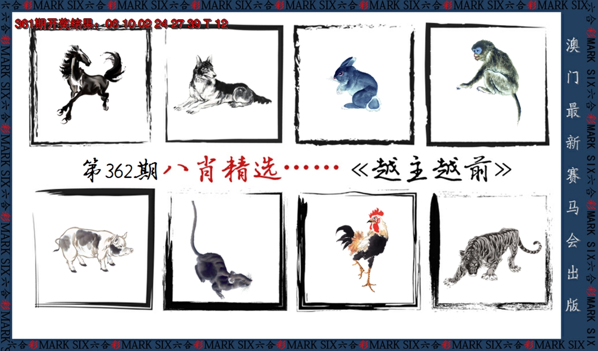 2024362期八肖精选