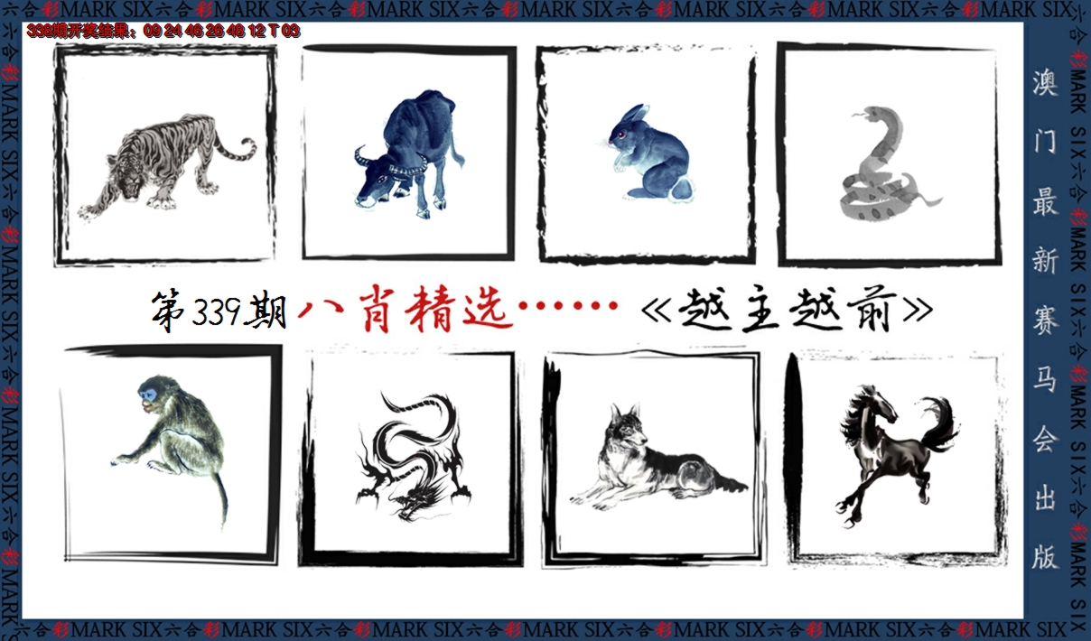 2024339期八肖精选
