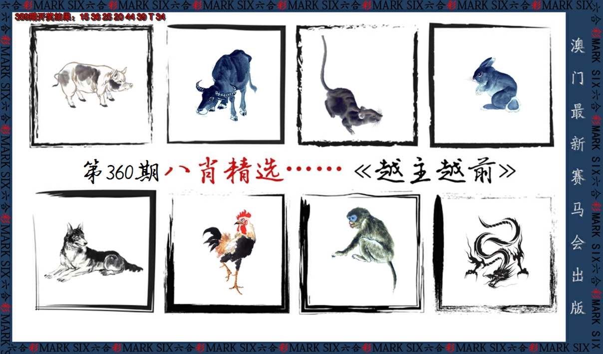 2024360期八肖精选