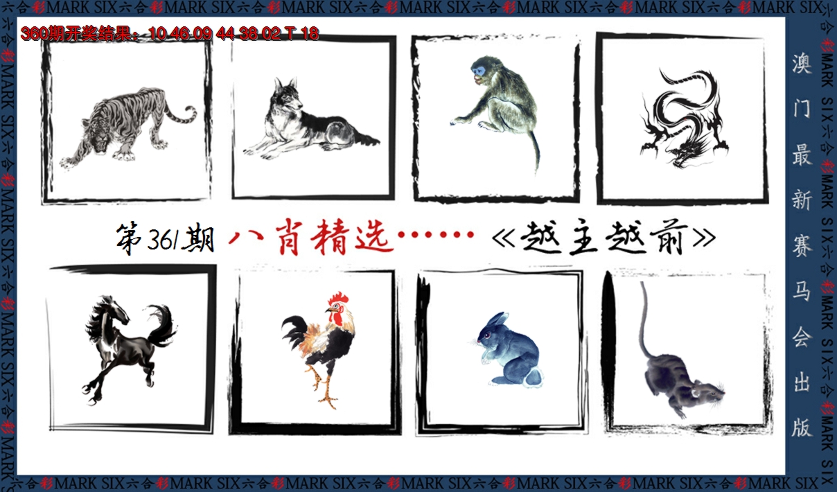 2024361期八肖精选