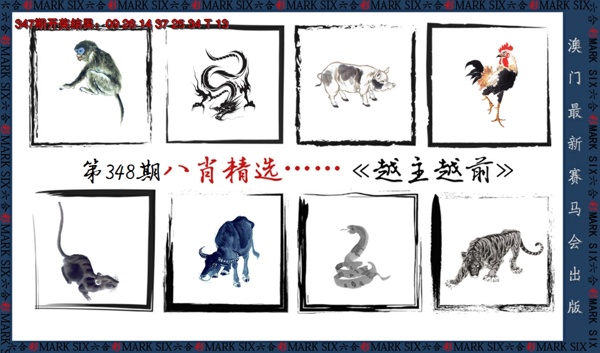2024348期八肖精选