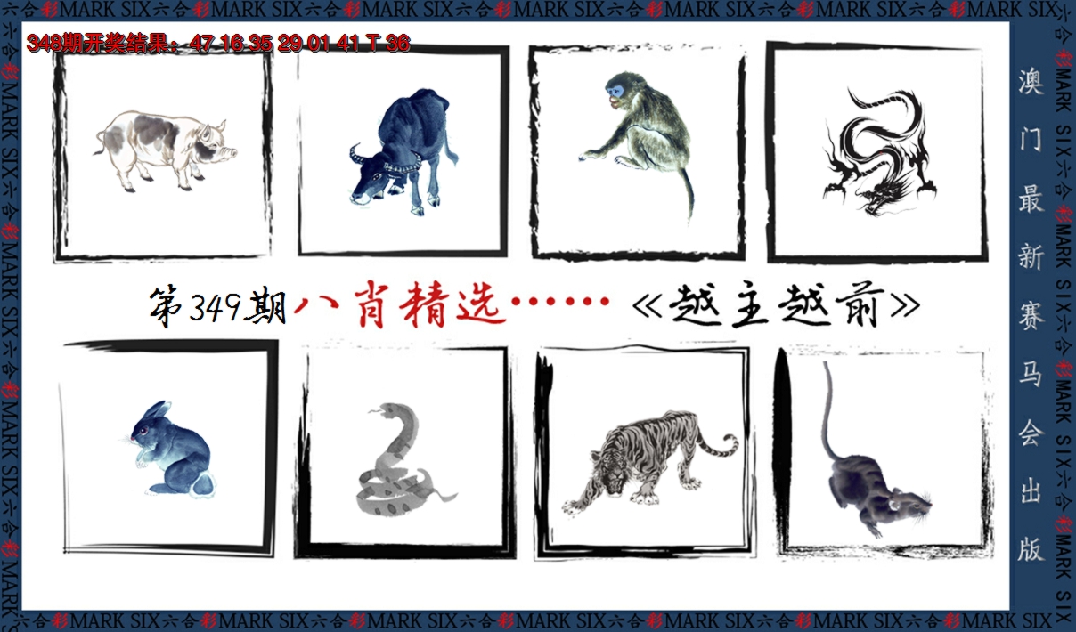 2024349期八肖精选