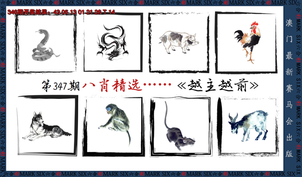 2024347期八肖精选