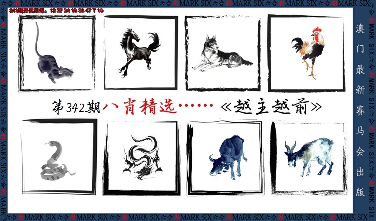 2024342期八肖精选