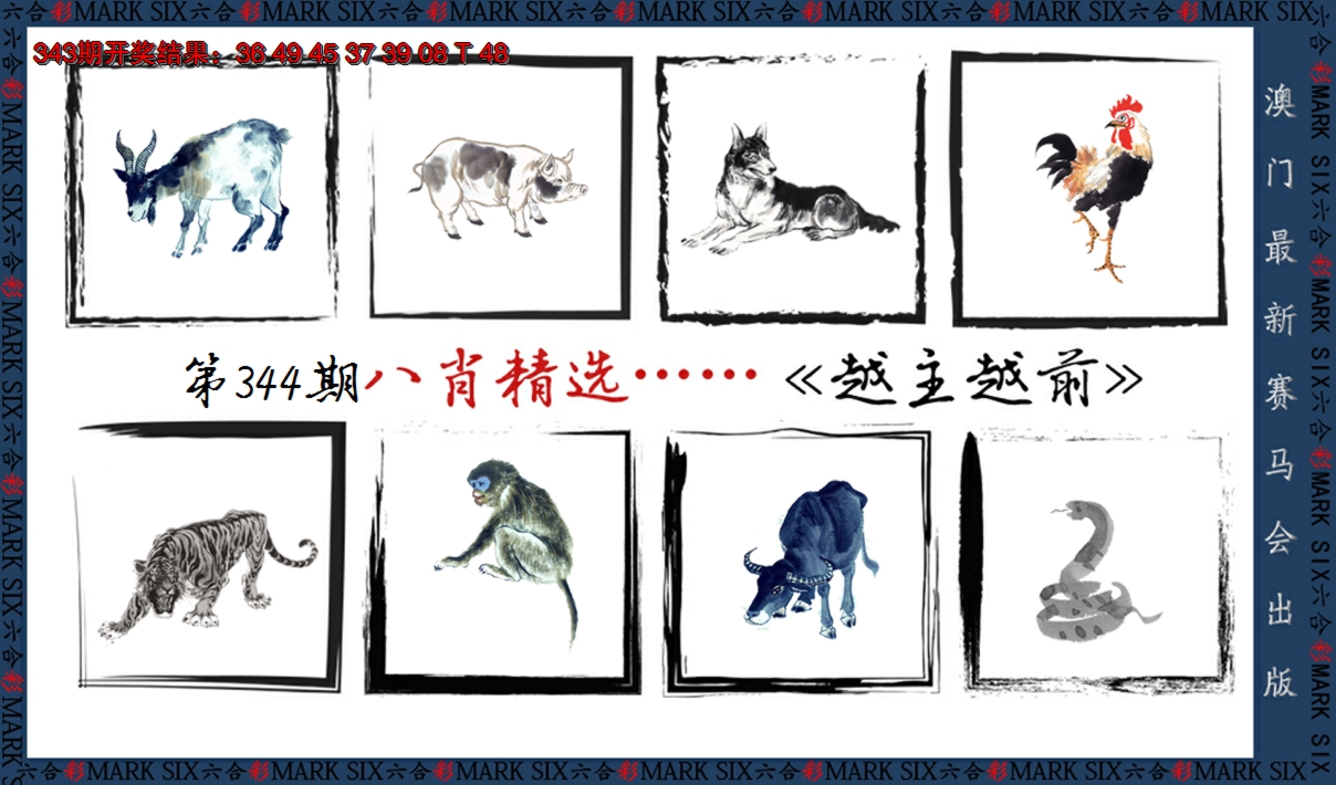 2024344期八肖精选