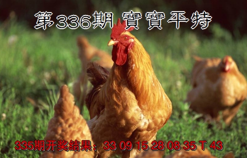 2024336期宝宝平特