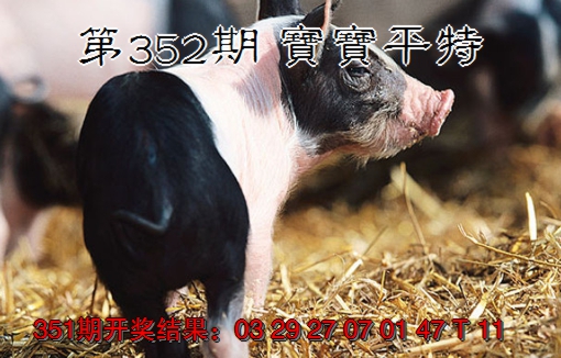 2024352期宝宝平特