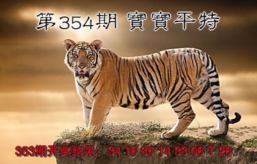 2024354期宝宝平特