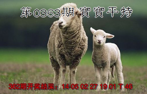 2024363期宝宝平特