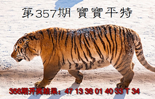 2024357期宝宝平特