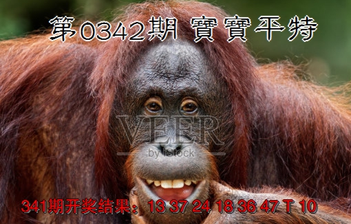2024342期宝宝平特