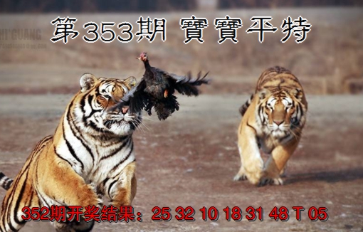 2024353期宝宝平特