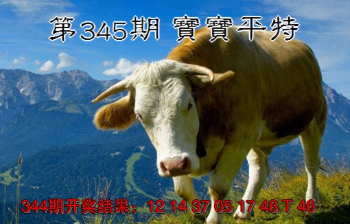 2024345期宝宝平特